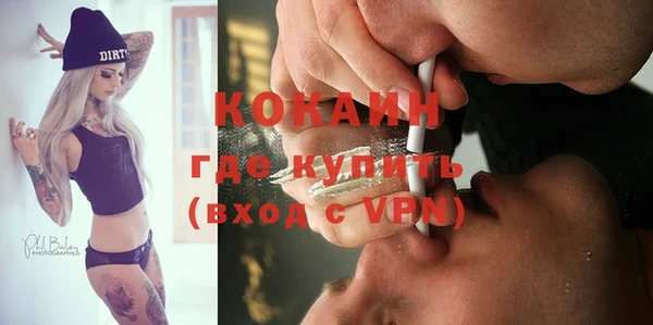 МДПВ Инсар
