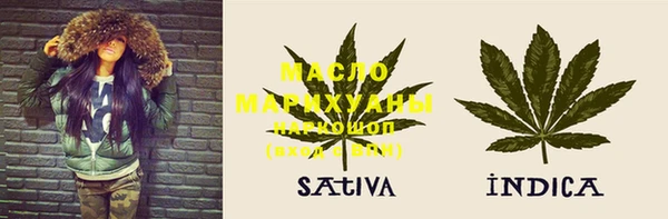 мет Инта