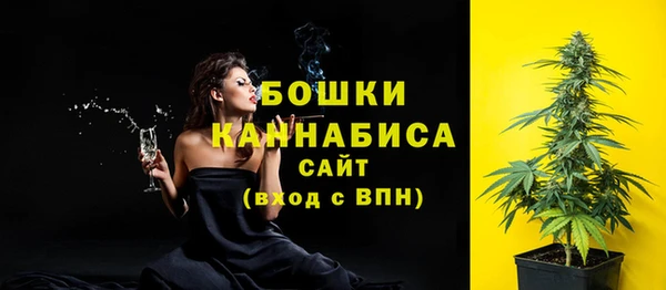 МДПВ Инсар