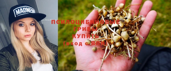 гидропоника Каменногорск