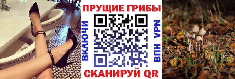 Псилоцибиновые грибы MAGIC MUSHROOMS  наркотики  shop состав  Кашира 