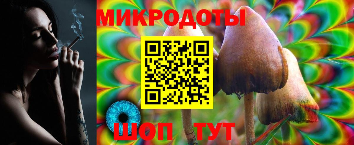 Псилоцибиновые грибы мицелий Кашира