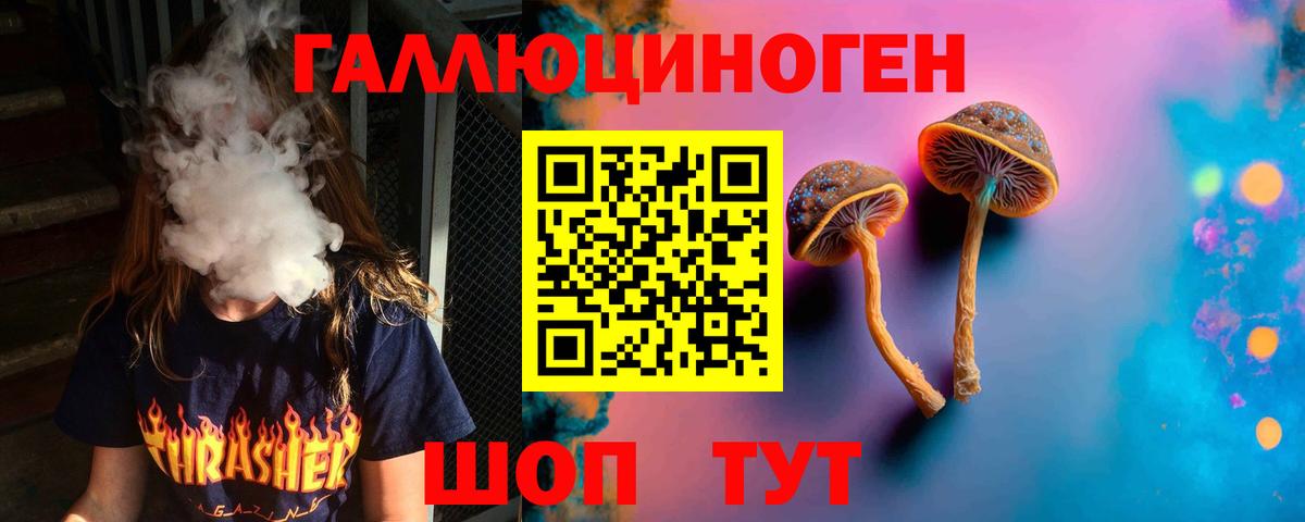 Псилоцибиновые грибы Psilocybine cubensis  Вход с VPN  Кашира 