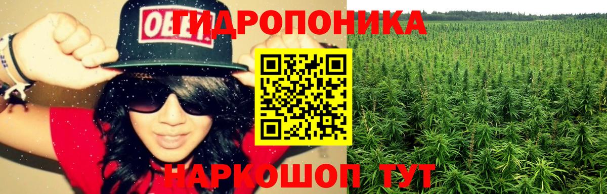 Шишки марихуана гибрид Кашира